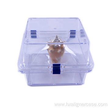 Custom Logo Consumable Laboratory Clear Membrane Storage Box